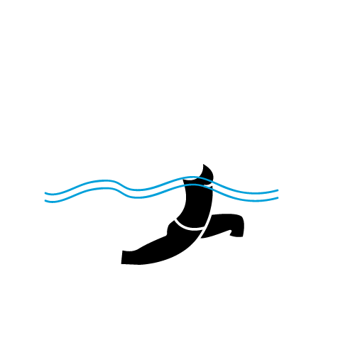Aquagym