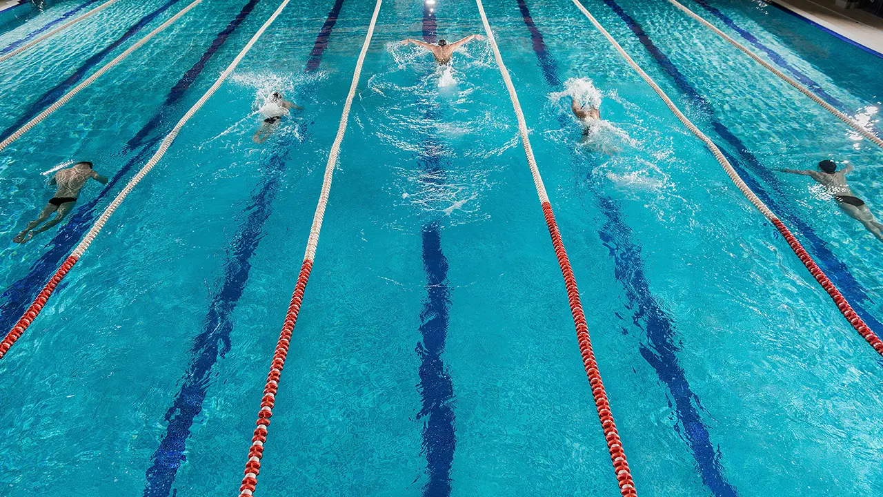 cursos de natación 2023-2024